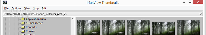 Showing the IrfanView file manager and thumbnail preview